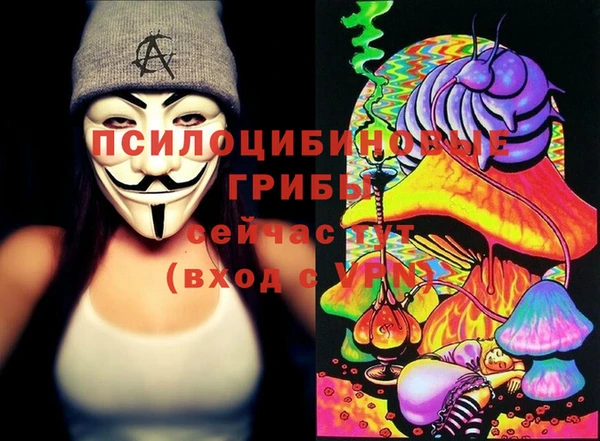 ПСИЛОЦИБИНОВЫЕ ГРИБЫ Верея